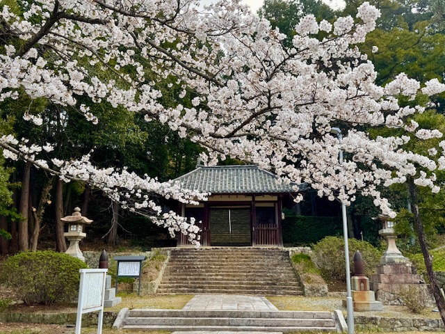 画像の説明